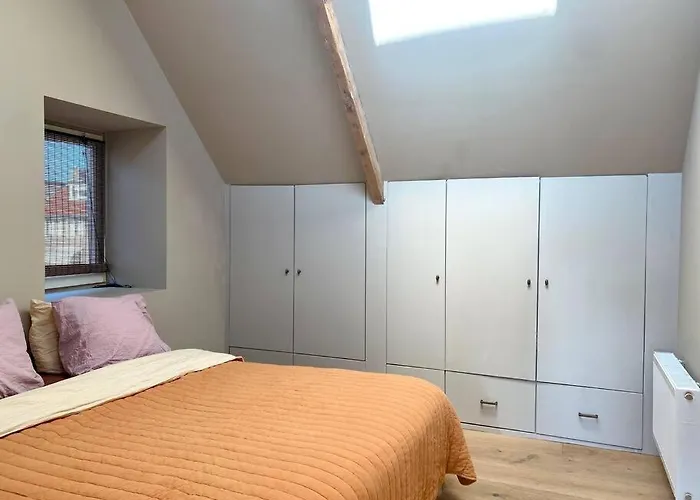 30 Steps To Sand.. Light And Spacious Family Зандфорт